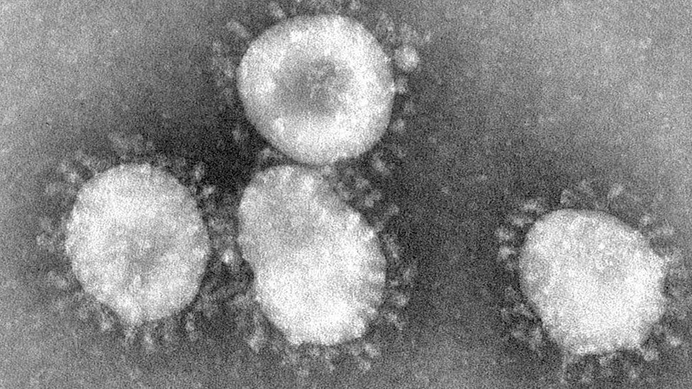Virus en blanco y negro