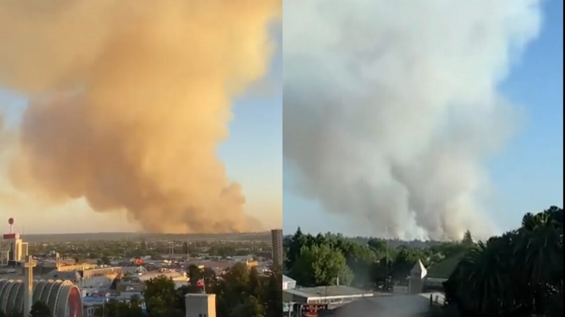 Incendios Forestales Bíobio