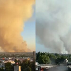 Incendios Forestales Bíobio