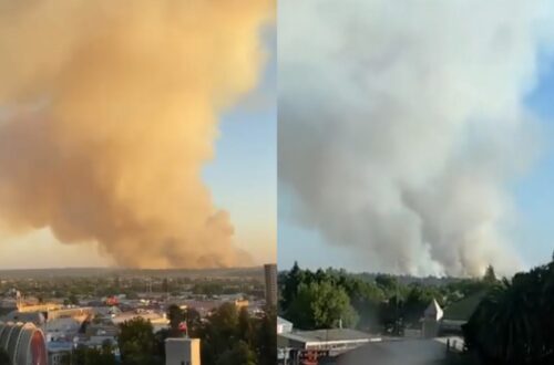 Incendios Forestales Bíobio