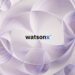 Imagen De Ibm Watsonx