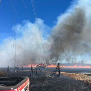 Incendios Forestales1