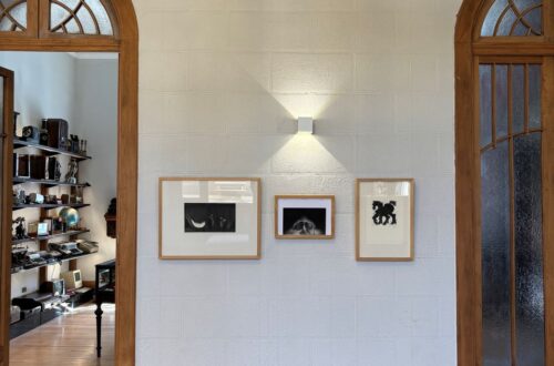 Galería1