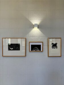 Galería2