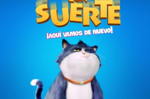 Un Gato Con Suerte1