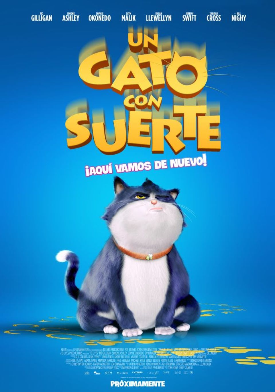 Un Gato Con Suerte1