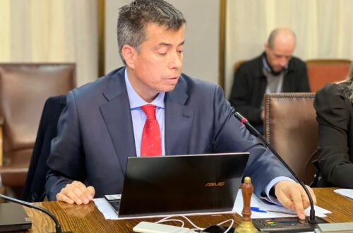 Celis diputado