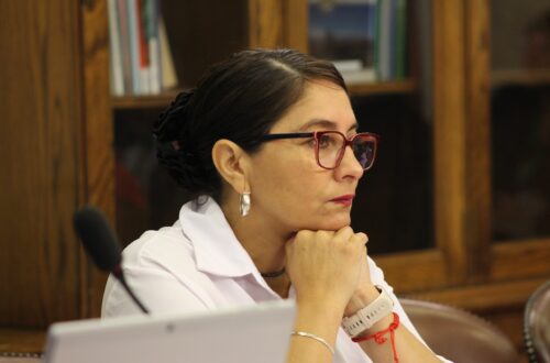 Diputada1