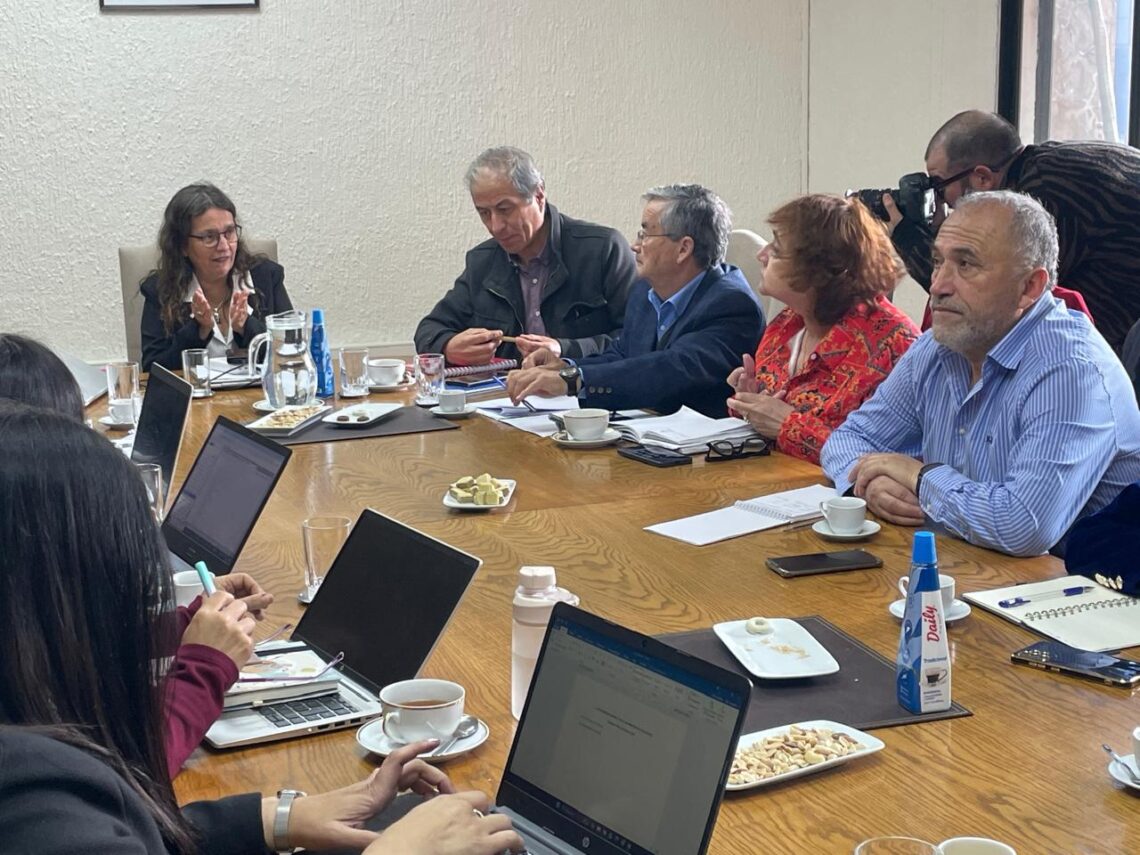 Profesores