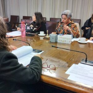 Comision mujeres junio 2025