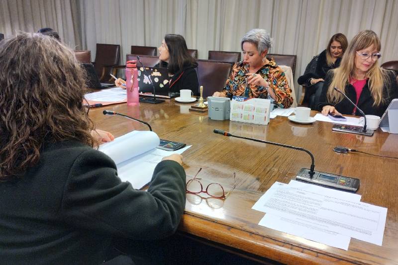 Comision mujeres junio 2025