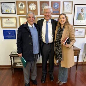 Diputada camila flores
