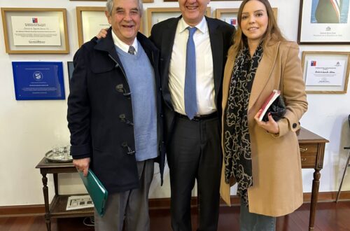 Diputada camila flores