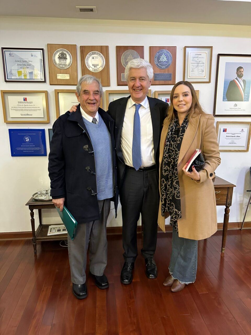 Diputada camila flores