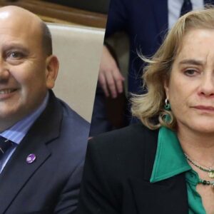 Diputados udi