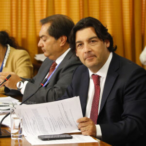 Leiva raúl
