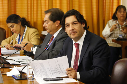 Leiva raúl