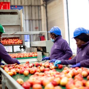 Selección frutas