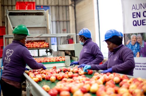 Selección frutas