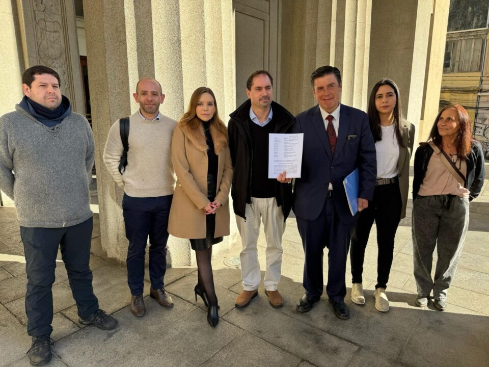 Diputada camila flores