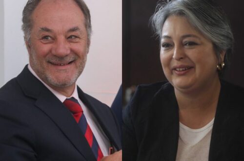 Sutil y jara