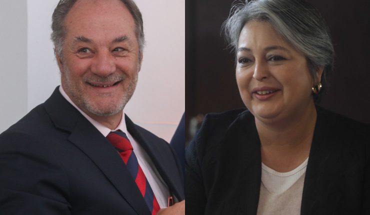 Sutil y jara