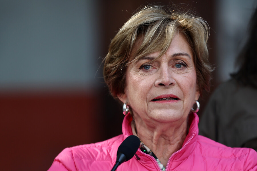 Evelyn matthei 2