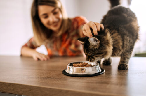 I love watching you eating