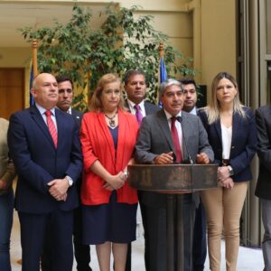 Parlamentarios udi
