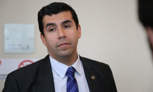 Soto basauren