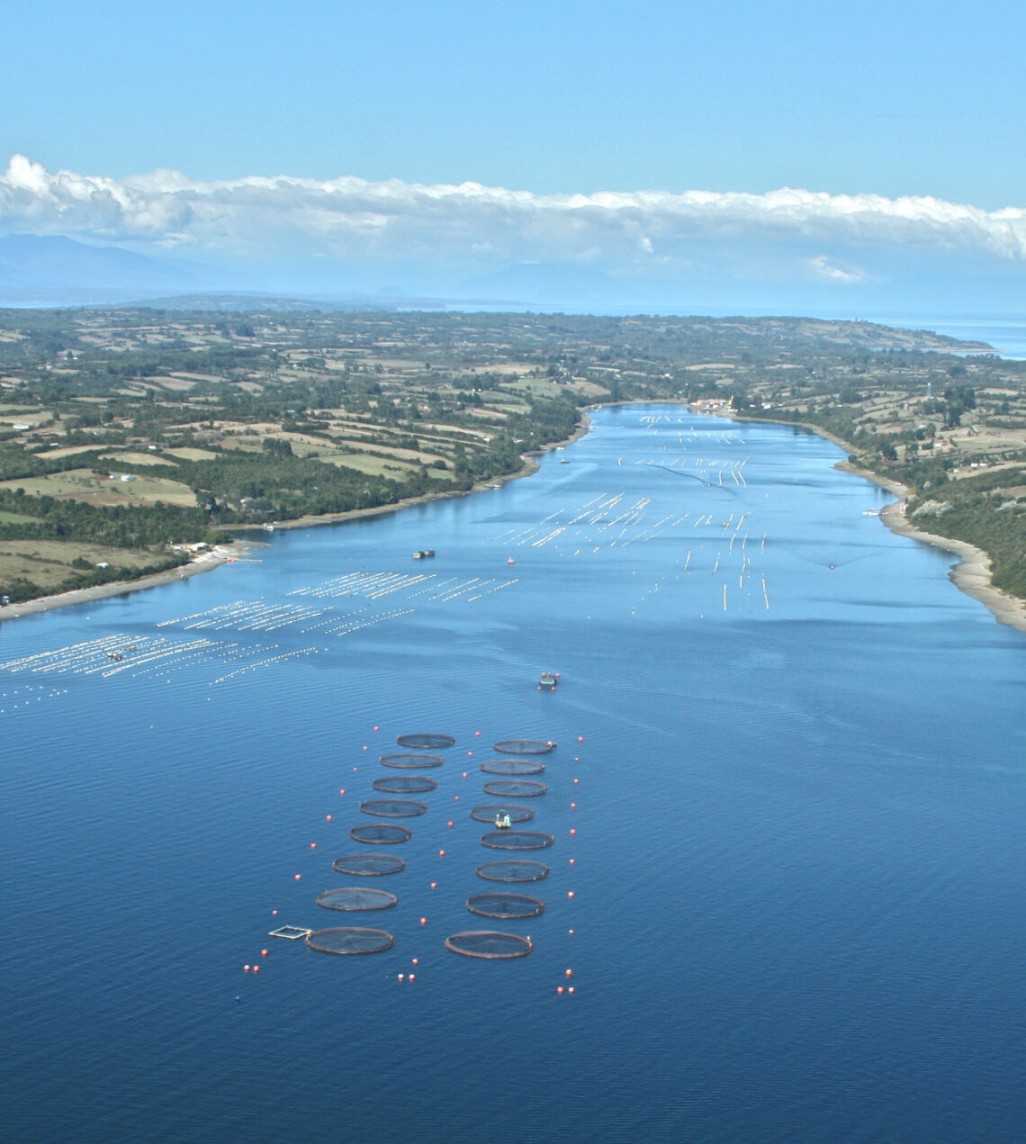 Aysén1