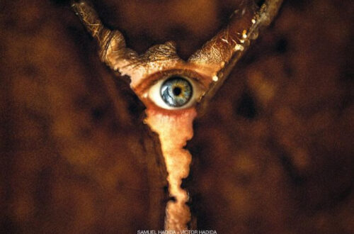 Regreso al infierno1