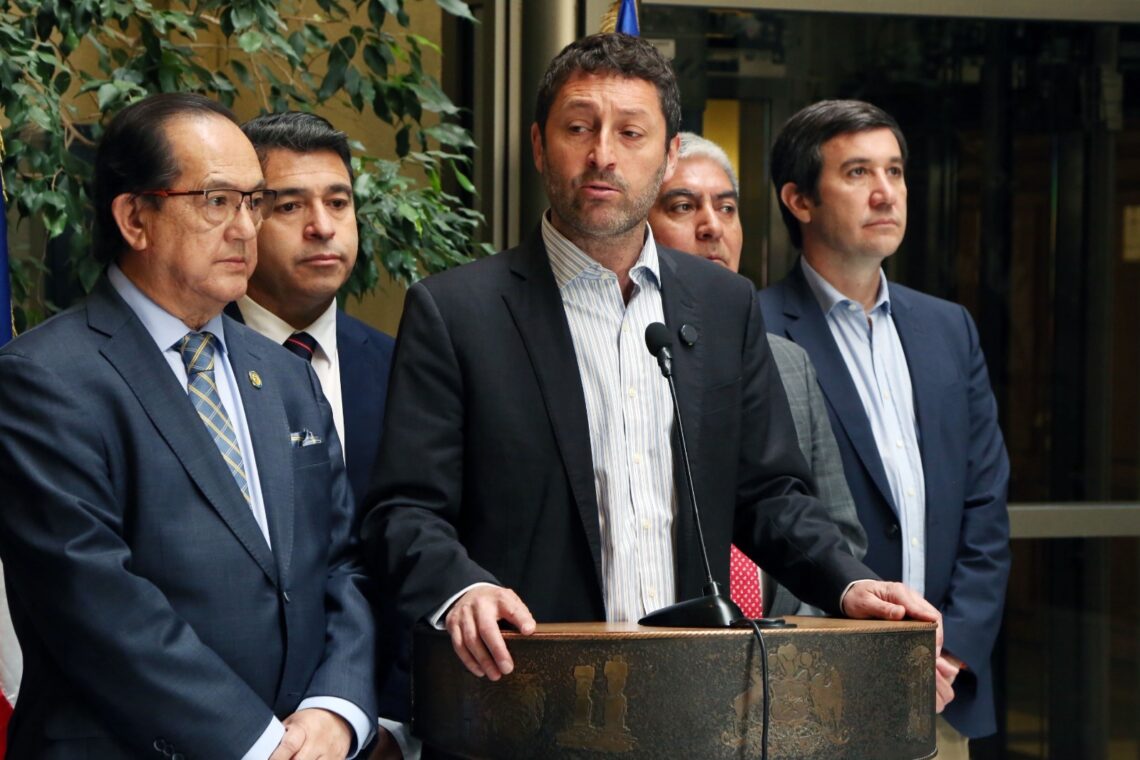 Udi parlamentarios