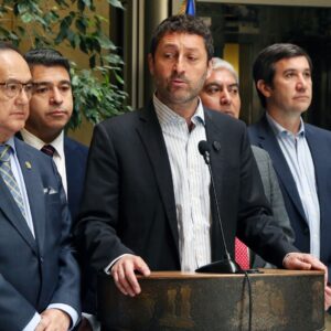 Udi parlamentarios