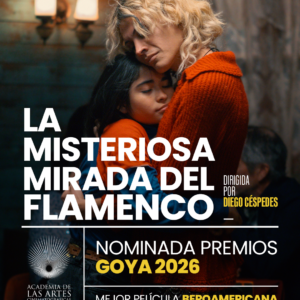 Afiche película flamenco