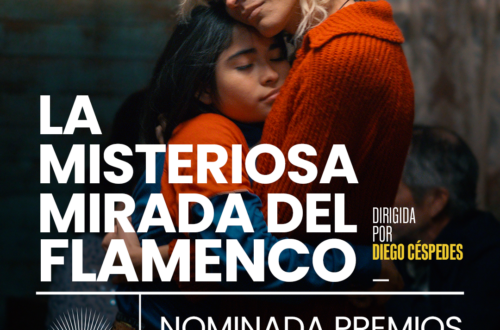 Afiche película flamenco