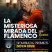 Afiche película flamenco