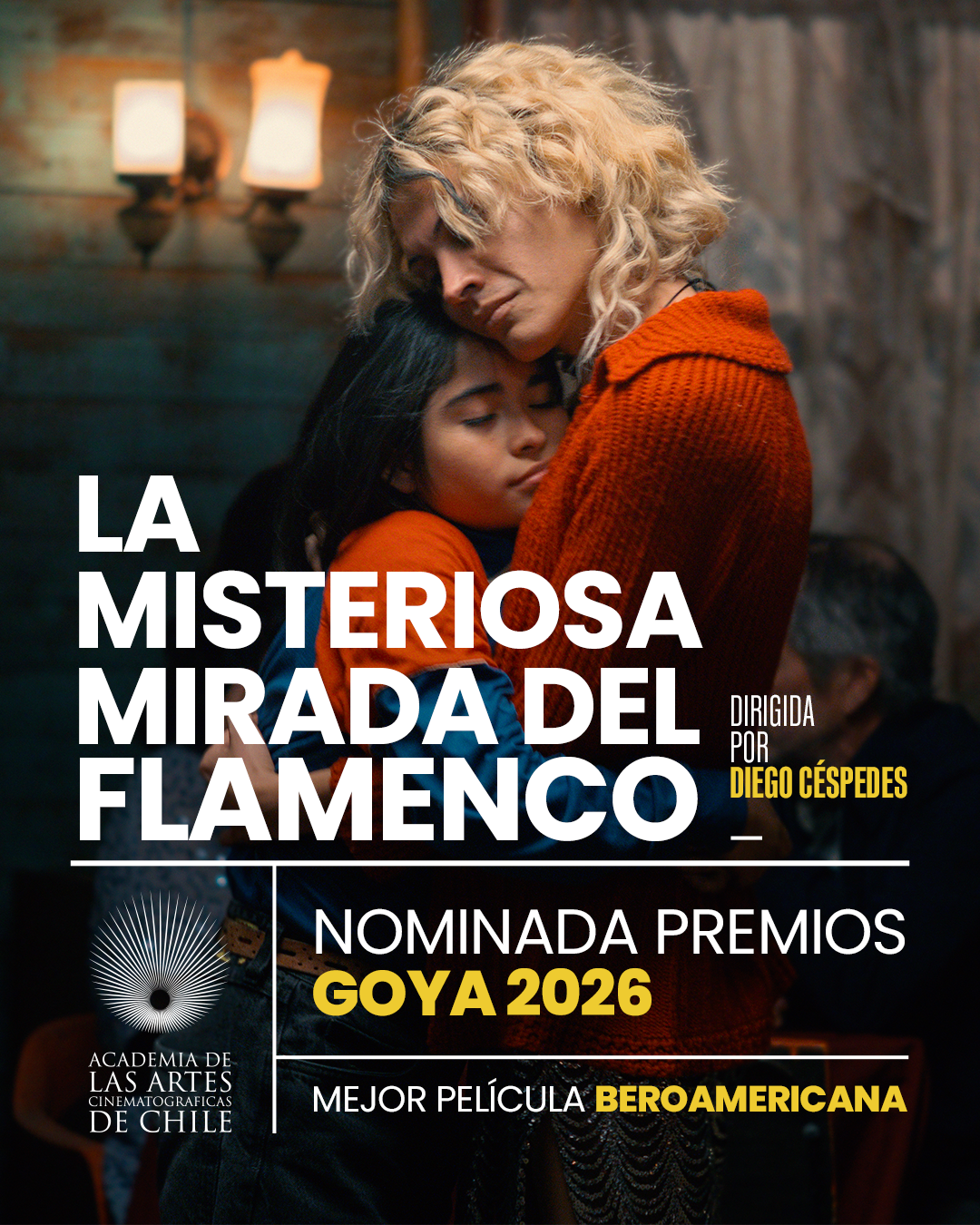 Afiche película flamenco