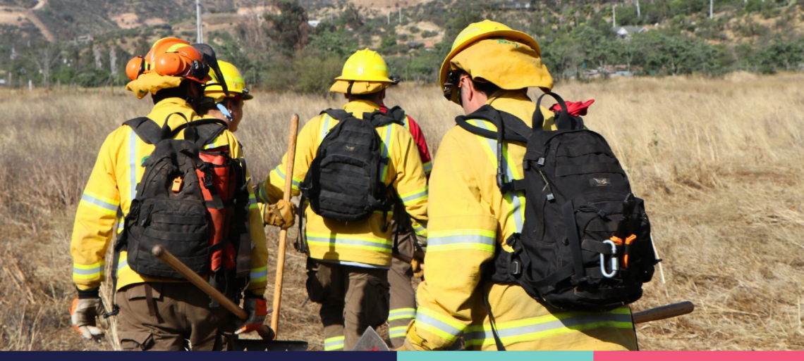 Contraloria e incendios