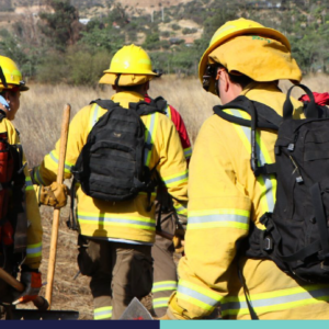 Contraloria e incendios