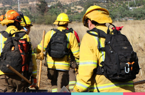 Contraloria e incendios