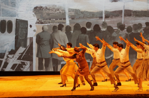 La Vida de mi Guerra