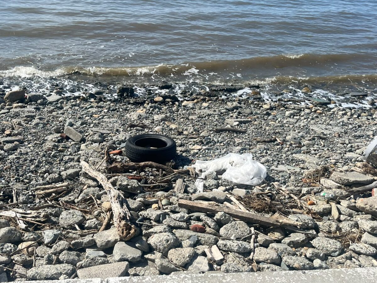 Costanera2